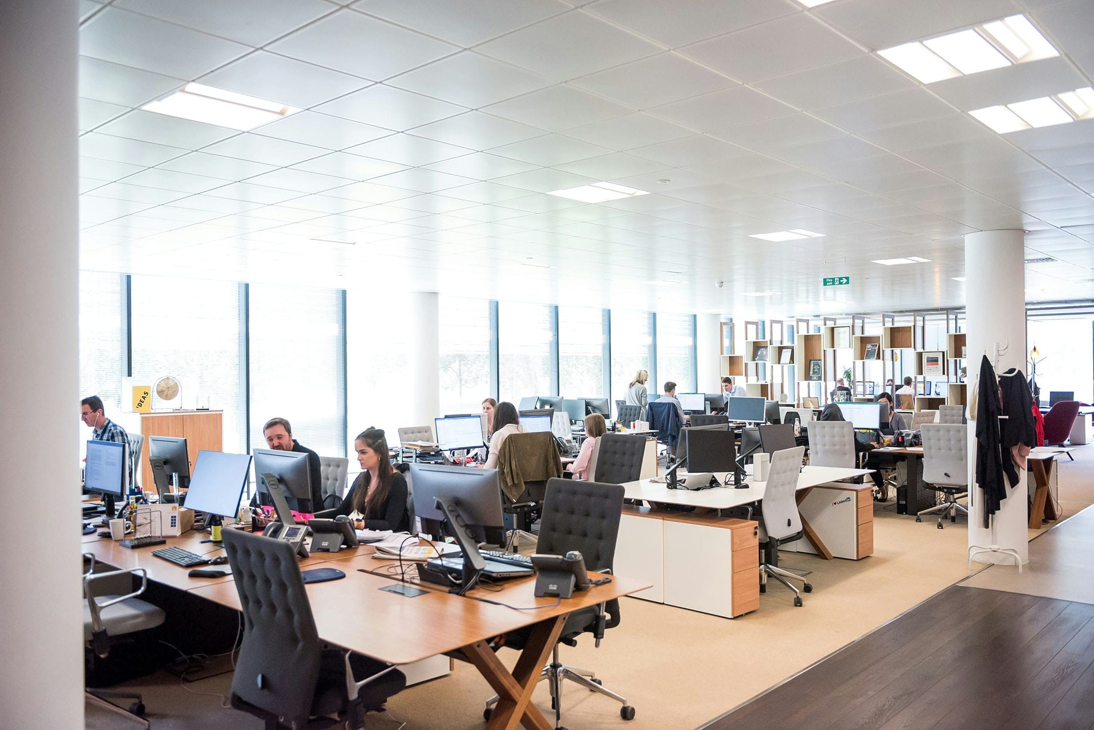 IT team working in office