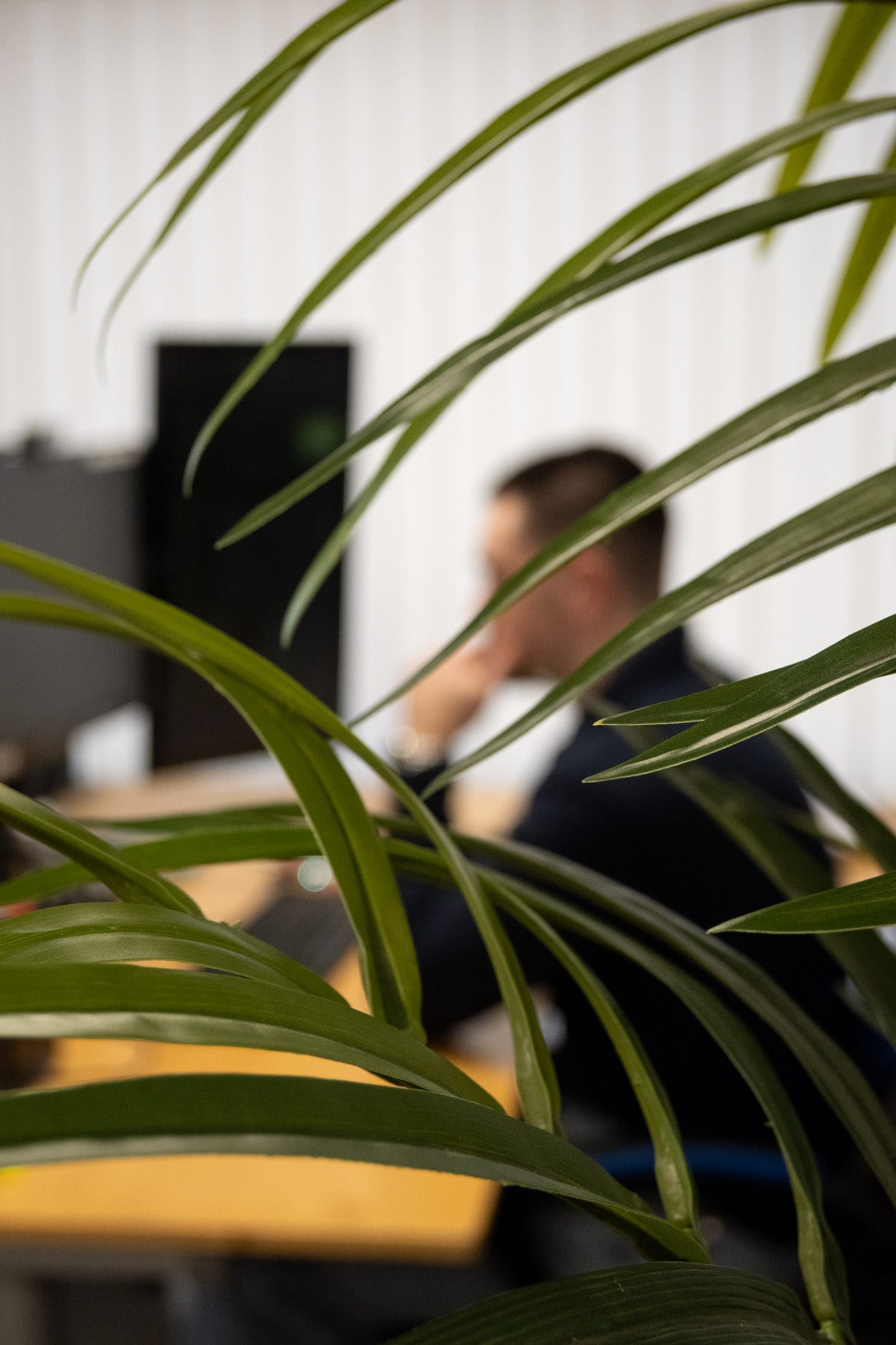 team member doing IT support through tree