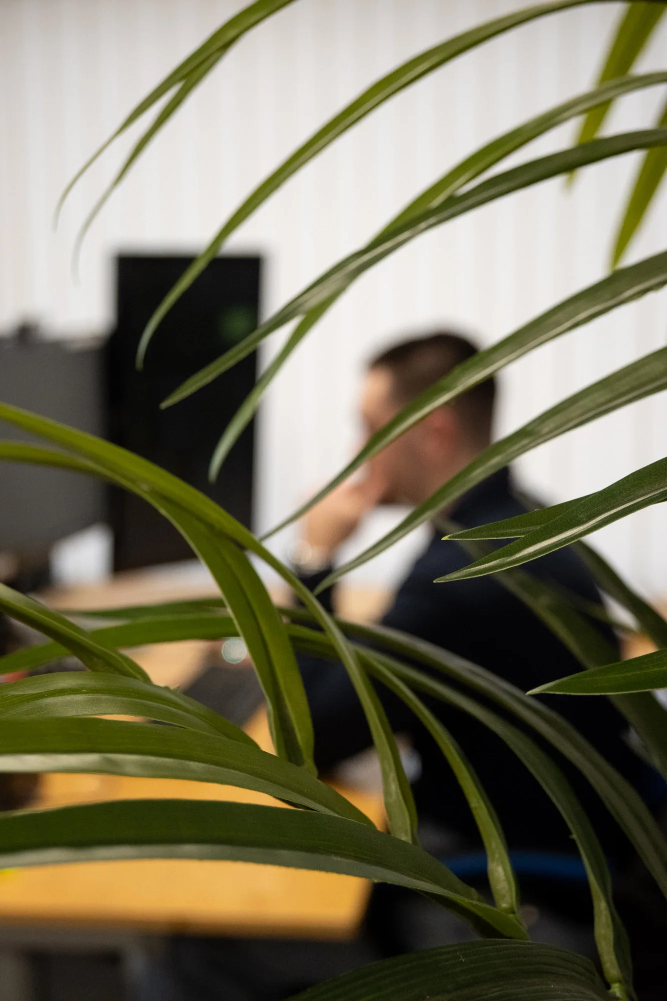 team member doing IT support through tree